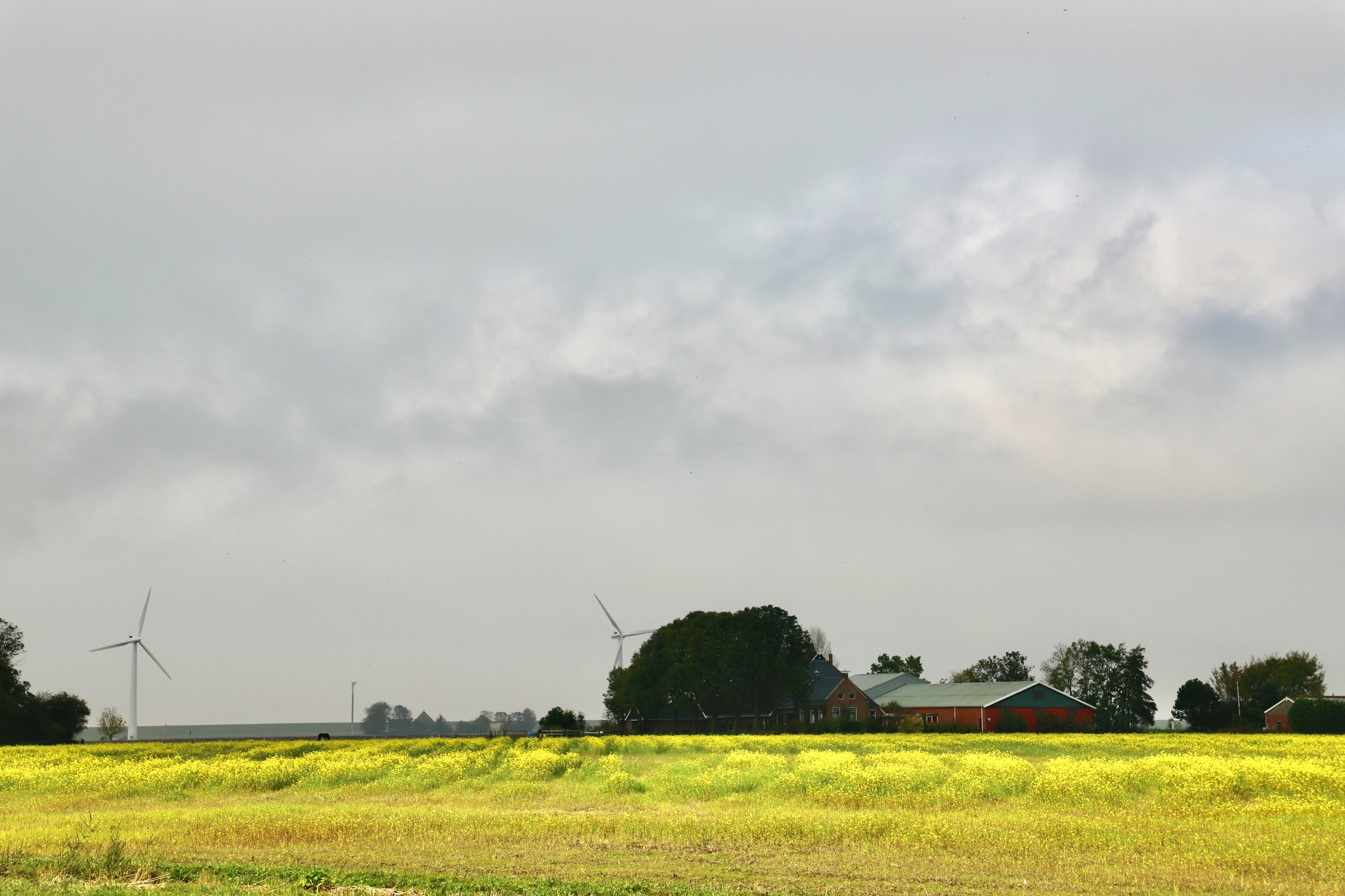 PRACHTIG HERFSTLANDSCHAP - Brekt