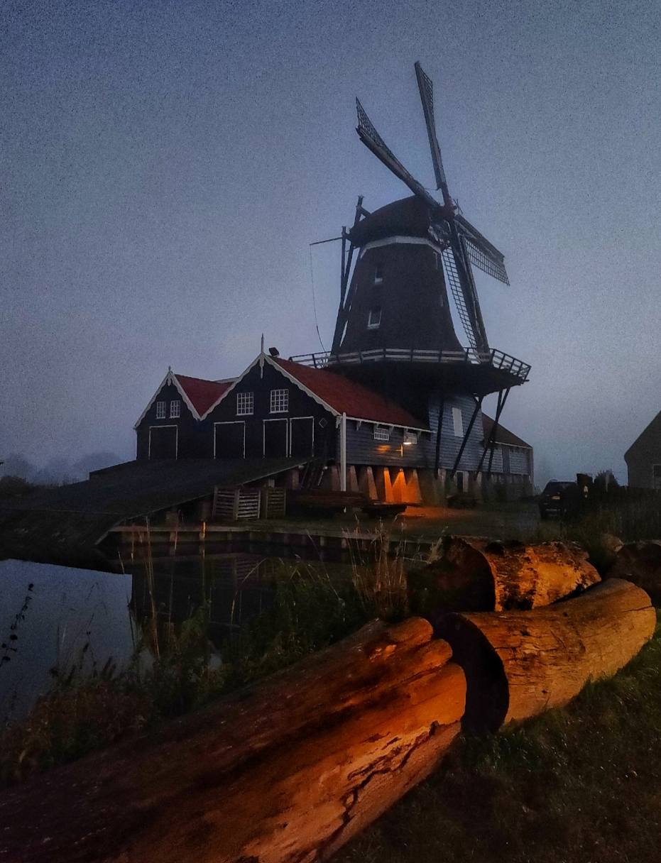 NANKE DE JONG: HOUTZAAGMOLEN DE RAT IN IJLST