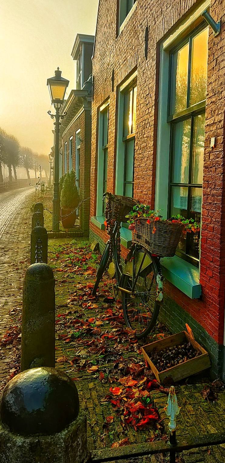 NANKE DE JONG: EEN GROENE TINT IN IJLST