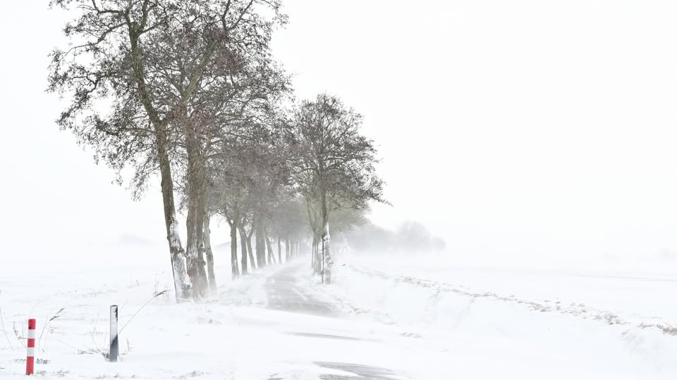 WINTERS LANDSCHAP
