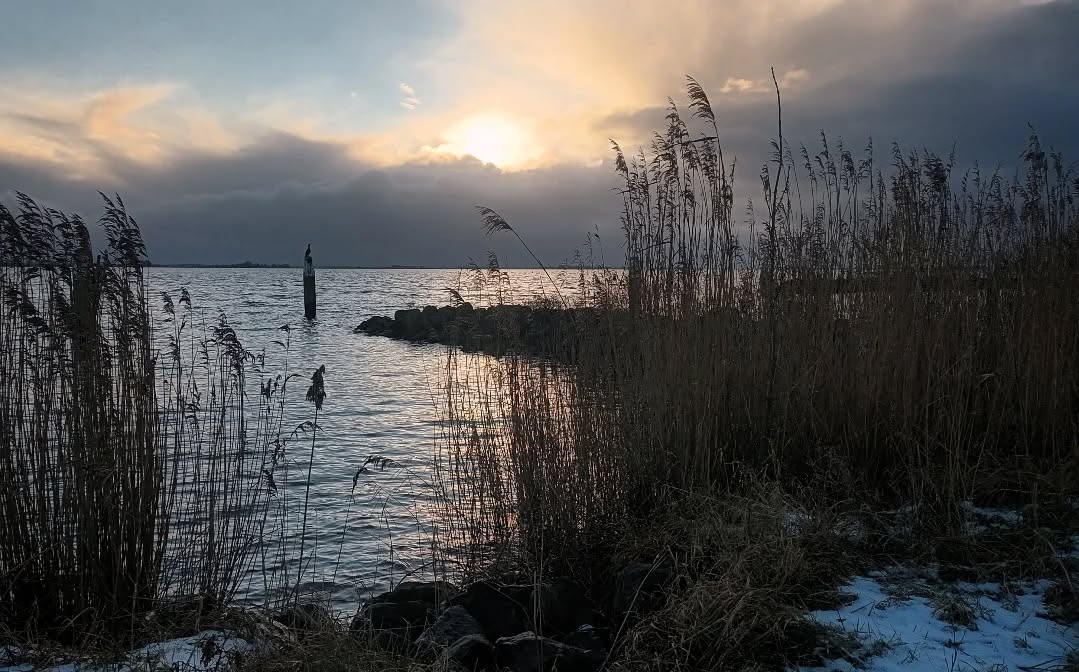 CORRY DE VRIES: STILTE IN DE WINTER