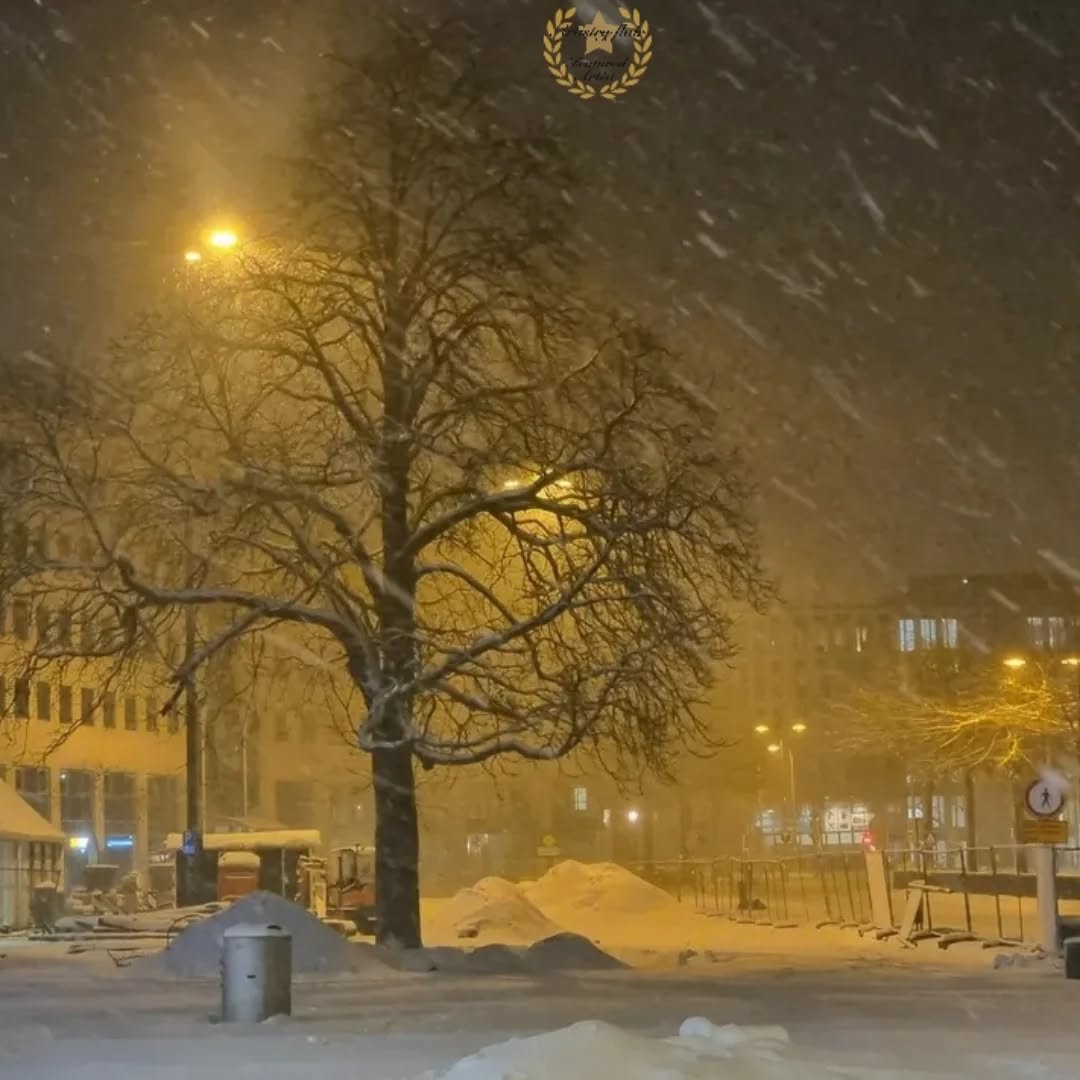 ELS BROUWER: WAARDERING VOOR WINTERSE FOTO