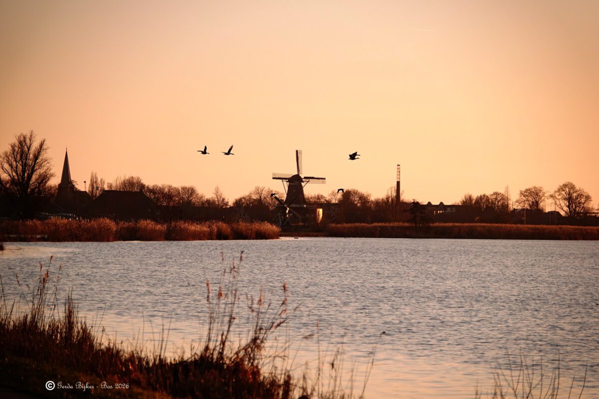 GERDA BIJKER: ZICHT OP IJLST