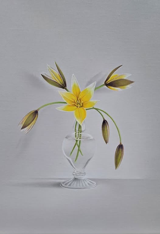 YT OSINGA: ‘VOORZICHTIG ONTWAKEN’