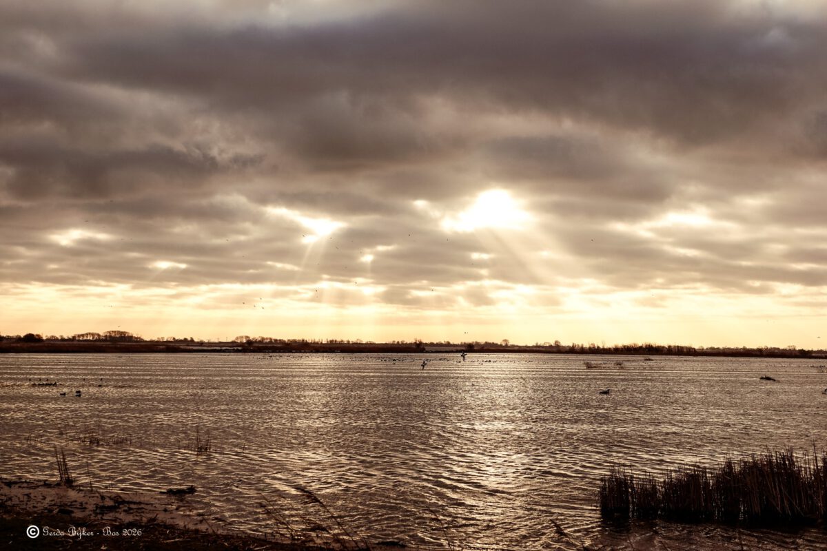 GERDA BIJKER: NOG GEEN LENTE