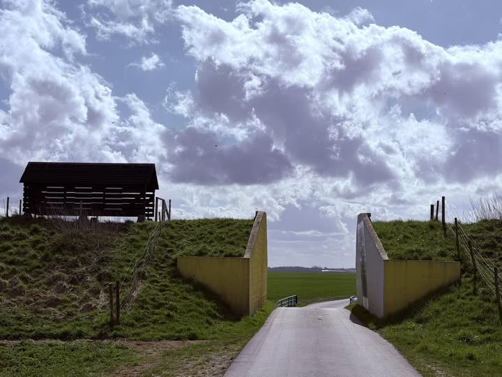MANNIE MOEDT: ‘DIEKGAT’ IN DE CAREL COENRAADPOLDER