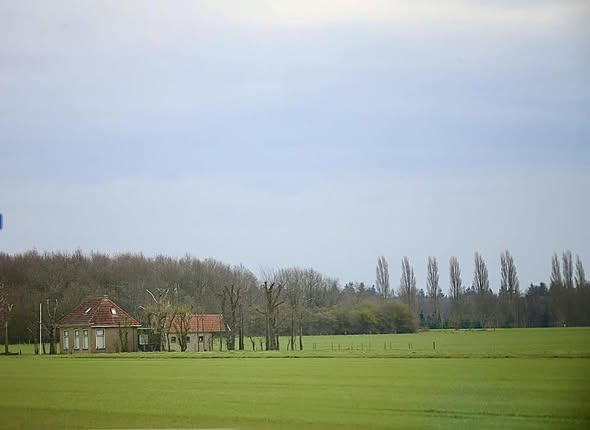 CLARA WALSTRA: BY SKARL