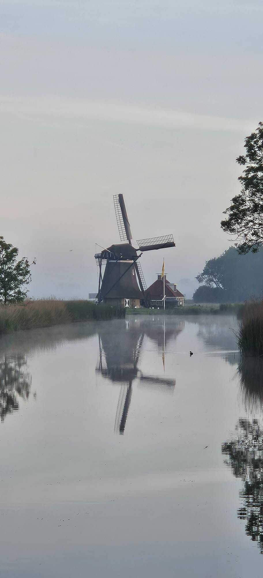 FEMMY BOON: LONJÉ OF TADEMA’S MOLEN