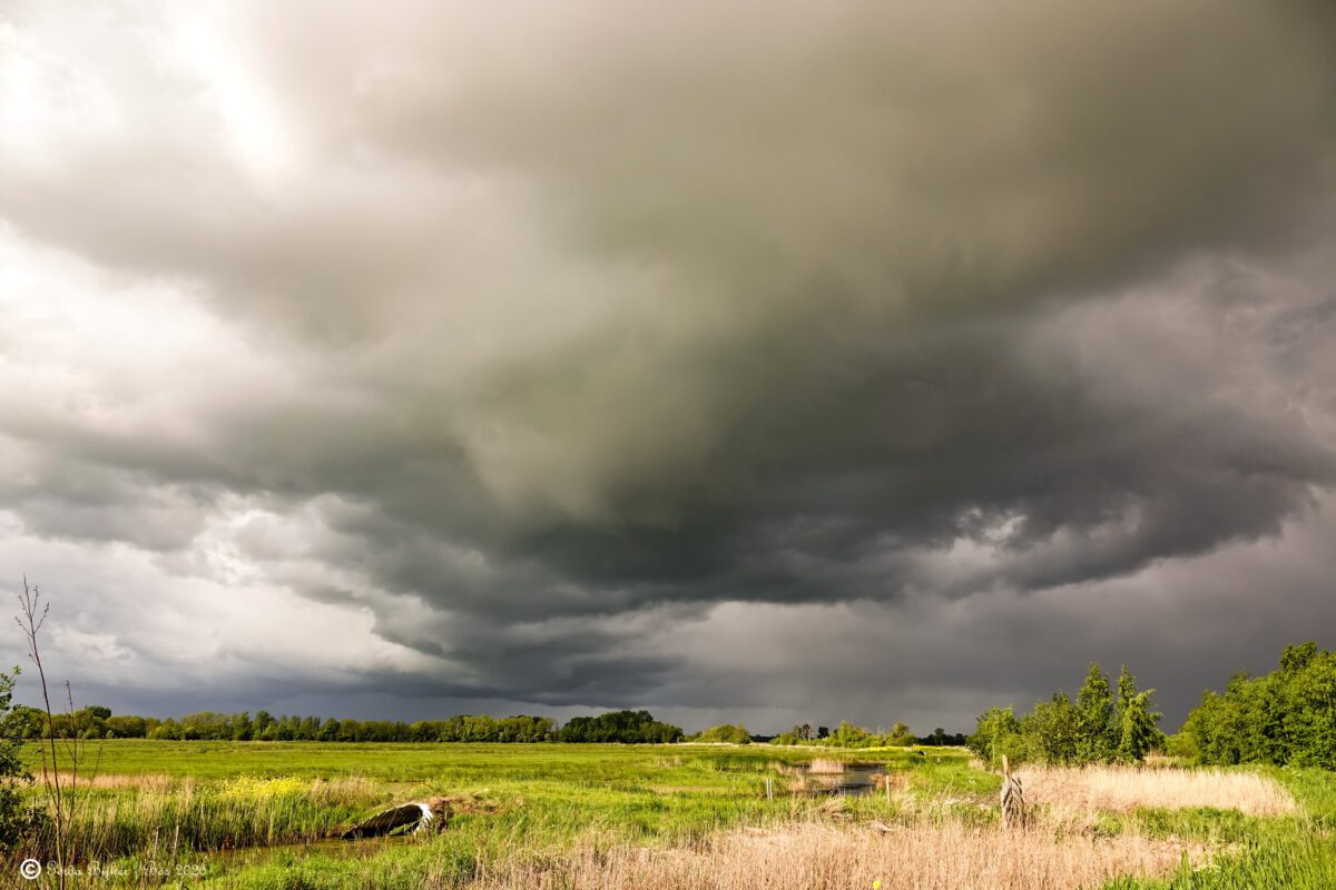 GERDA BIJKER: DONKERE WOLKEN BY DE GRIENEDYK