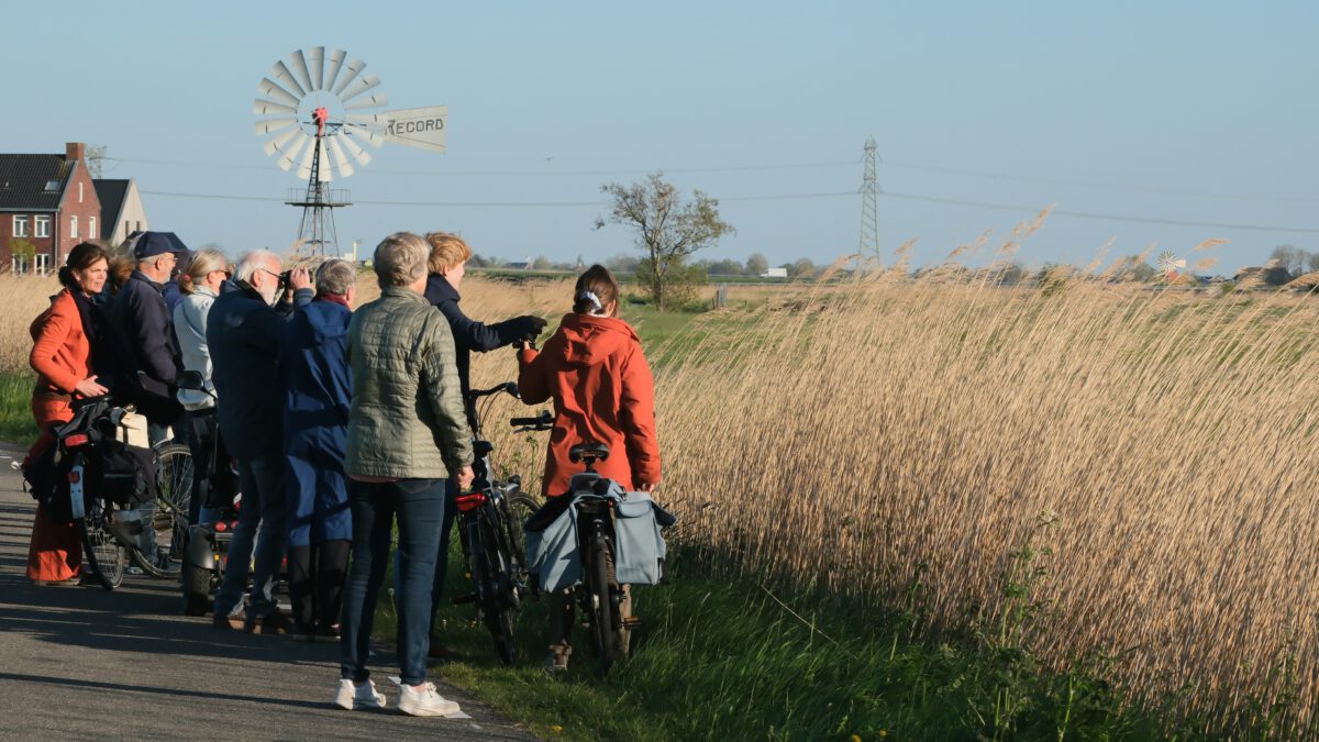 Voorstel aan de gemeente Leeuwarden: behoud en versterk de Hounspolder als uniek weidevogelkerngebied