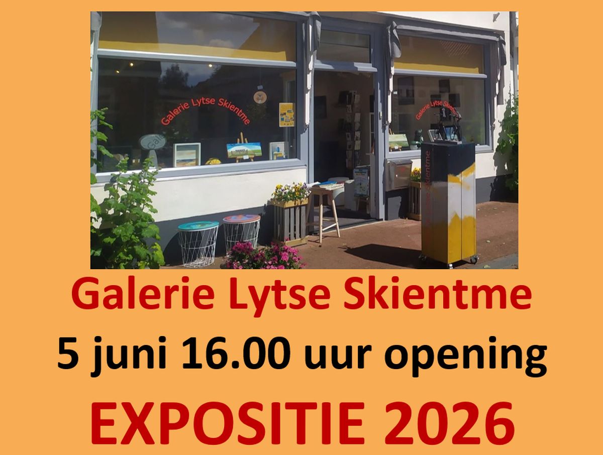 GELUK VINDEN BIJ KUNST IN KOUDUM