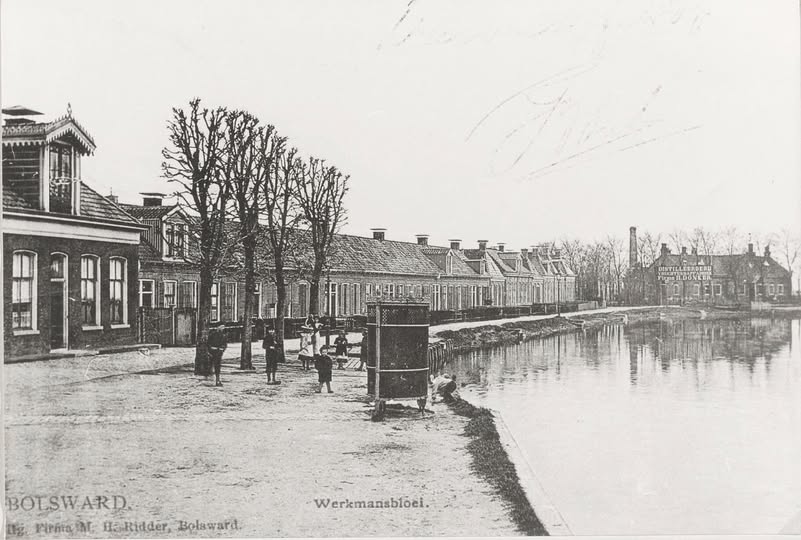 1905: WERKMANSBLOEI BOLSWARD