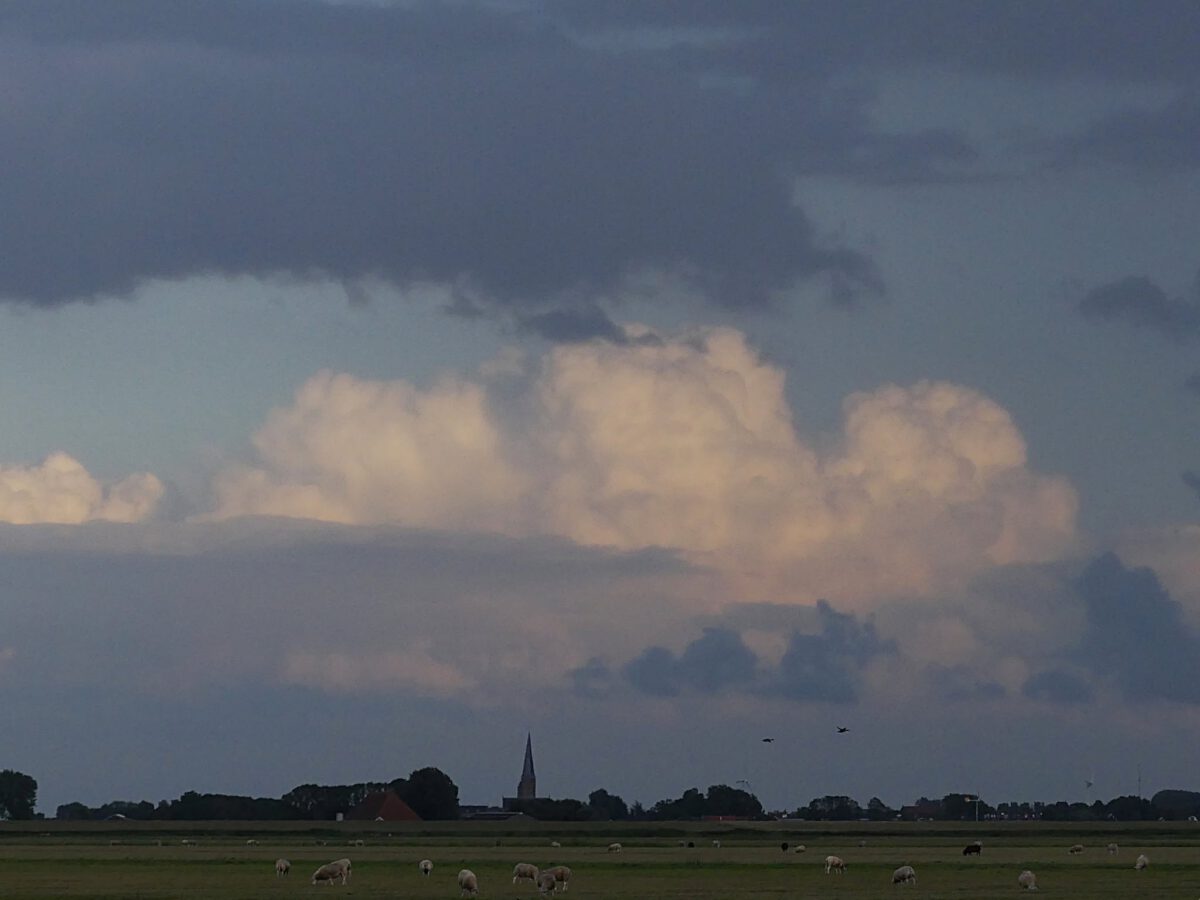 WYTSKE HEIDA: WARKUMERWAARD