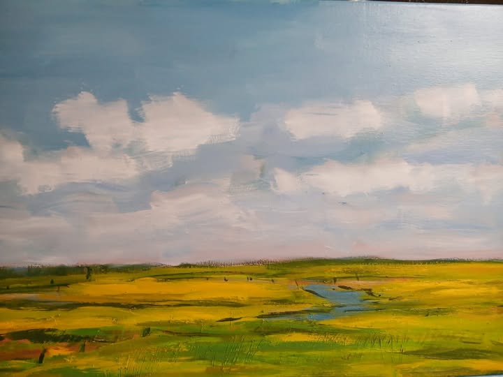 WIM VAN DER VEER: ‘MOOI FRIESLAND’