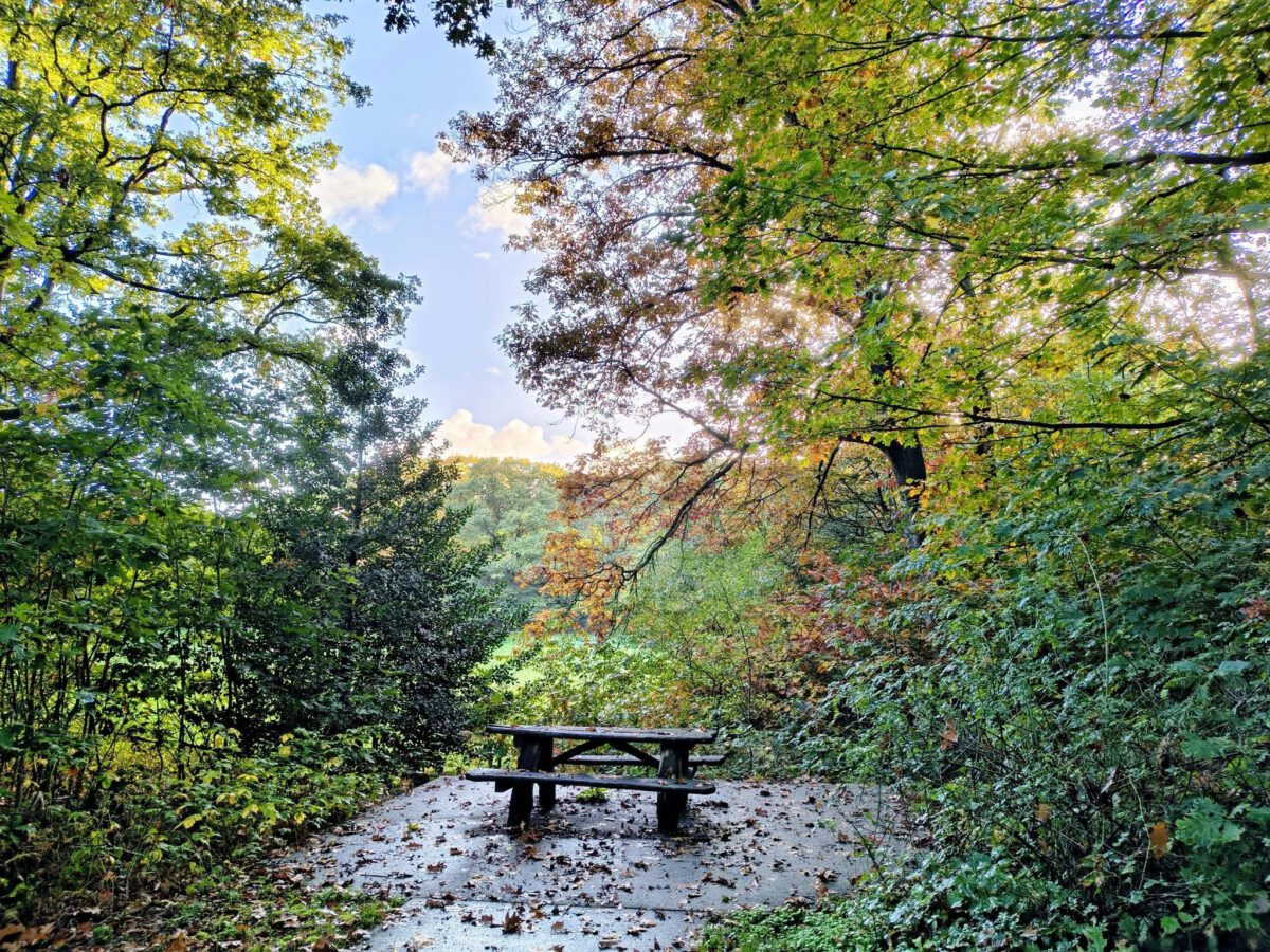 GEERTJE DUINKERKEN: HERFSTTAFEL