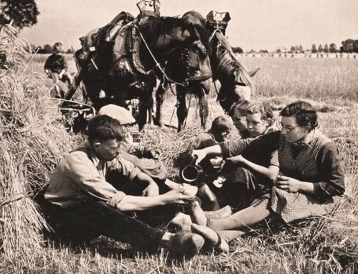 1946: PAUZE TIJDENS DE OOGST