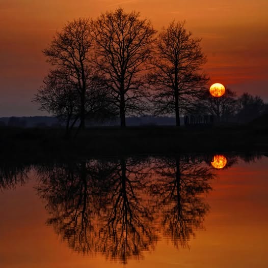ALMA WANNINGEN: HET SCHARREVELD