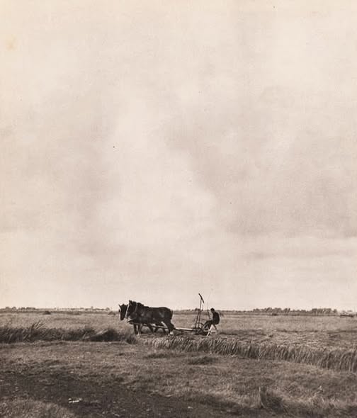 WERKEN OP HET VELD IN 1947